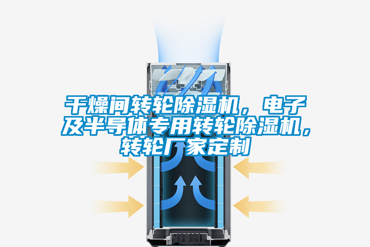 干燥間轉輪除濕機，電子及半導體專(zhuān)用轉輪除濕機，轉輪廠(chǎng)家定制