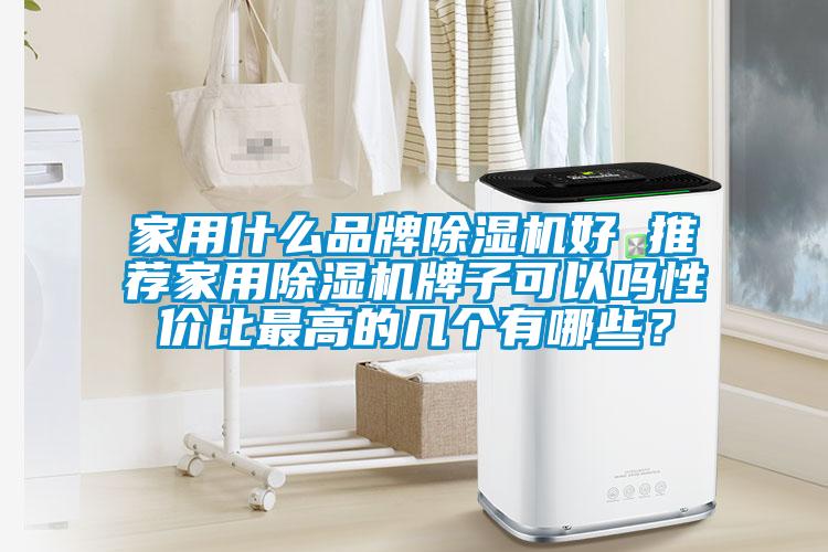 家用什么品牌除濕機好 推薦家用除濕機牌子可以嗎性?xún)r(jià)比最高的幾個(gè)有哪些？