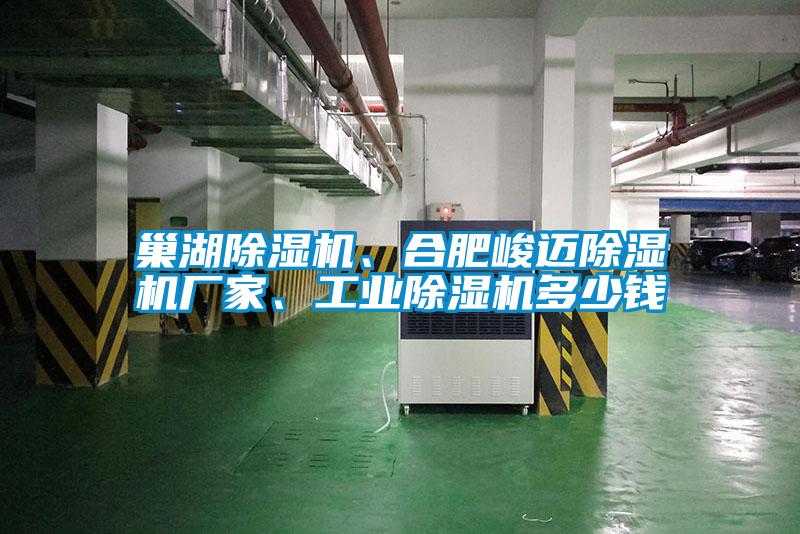 巢湖除濕機、合肥峻邁除濕機廠(chǎng)家、工業(yè)除濕機多少錢(qián)