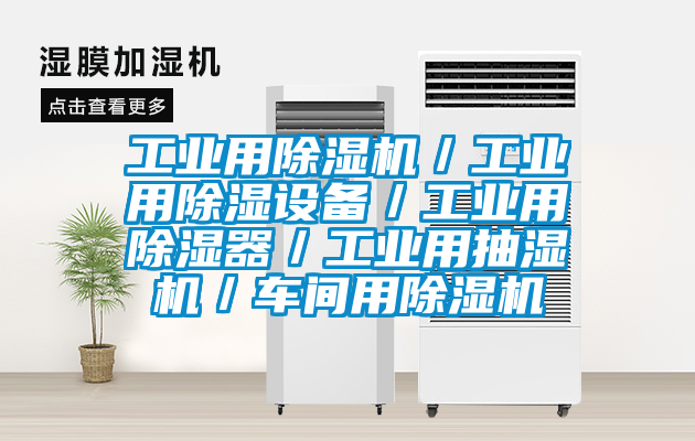 工業(yè)用除濕機／工業(yè)用除濕設備／工業(yè)用除濕器／工業(yè)用抽濕機／車(chē)間用除濕機