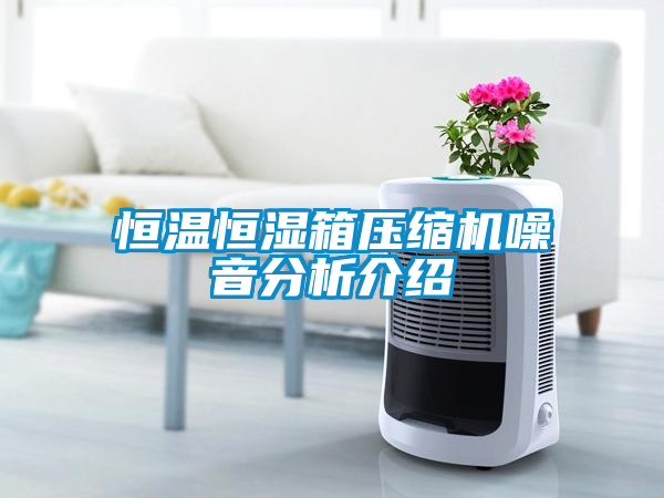 恒溫恒濕箱壓縮機噪音分析介紹