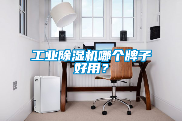 工業(yè)除濕機哪個(gè)牌子好用？