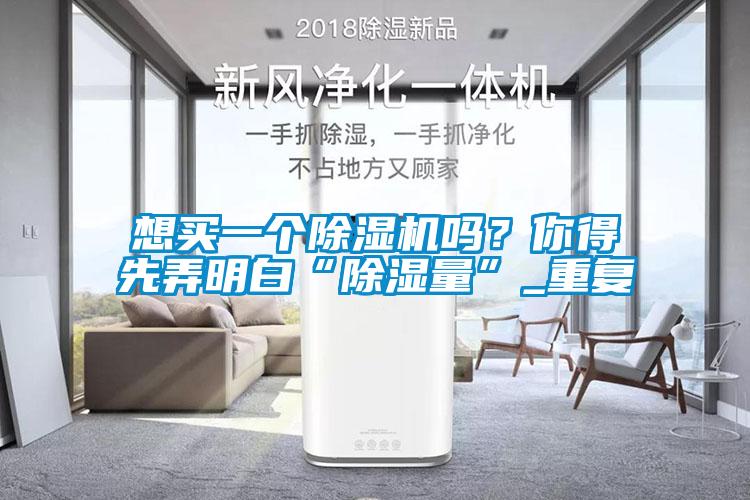 想買(mǎi)一個(gè)除濕機嗎？你得先弄明白“除濕量”_重復