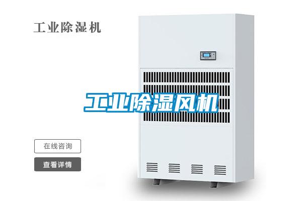 工業(yè)除濕風(fēng)機