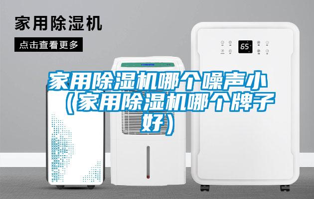 家用除濕機哪個(gè)噪聲?。矣贸凉駲C哪個(gè)牌子好）