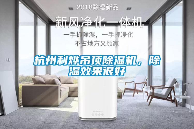 杭州利燁吊頂除濕機，除濕效果很好