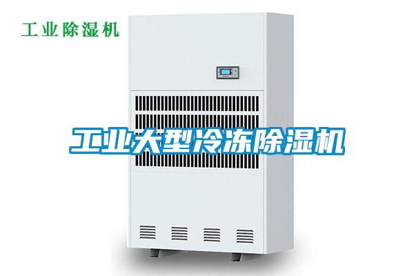 工業(yè)大型冷凍除濕機