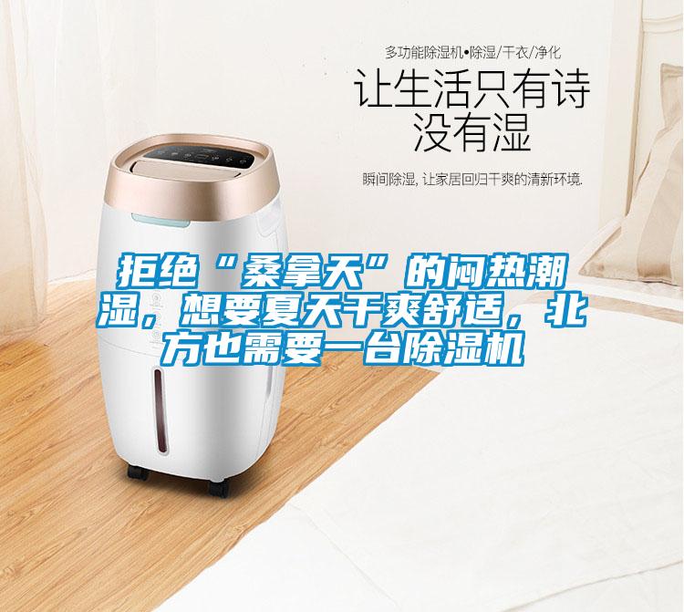 拒絕“桑拿天”的悶熱潮濕，想要夏天干爽舒適，北方也需要一臺除濕機