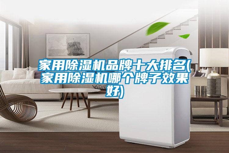 家用除濕機品牌十大排名(家用除濕機哪個(gè)牌子效果好)
