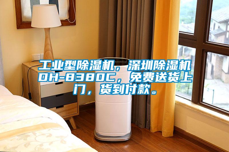 工業(yè)型除濕機，深圳除濕機DH-8380C，免費送貨上門(mén)，貨到付款。