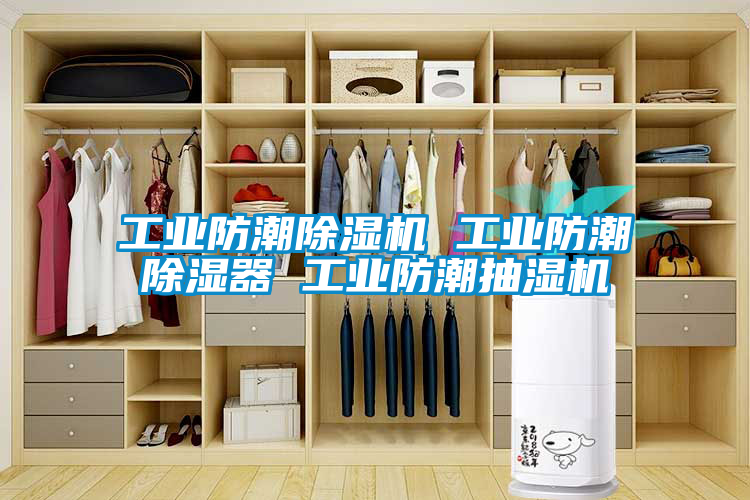 工業(yè)防潮除濕機 工業(yè)防潮除濕器 工業(yè)防潮抽濕機