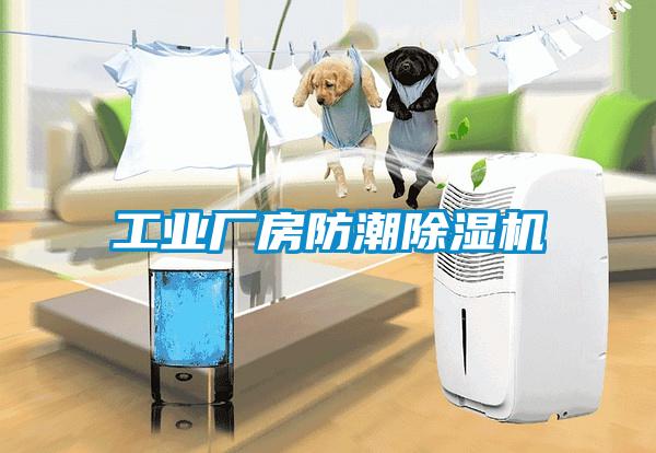 工業(yè)廠(chǎng)房防潮除濕機