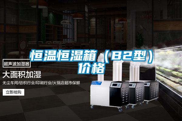 恒溫恒濕箱（B2型）價(jià)格
