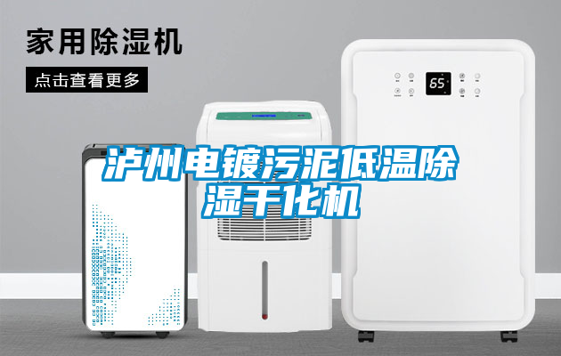 瀘州電鍍污泥低溫除濕干化機