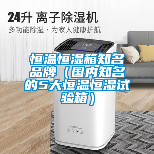 恒溫恒濕箱知名品牌（國內知名的5大恒溫恒濕試驗箱）