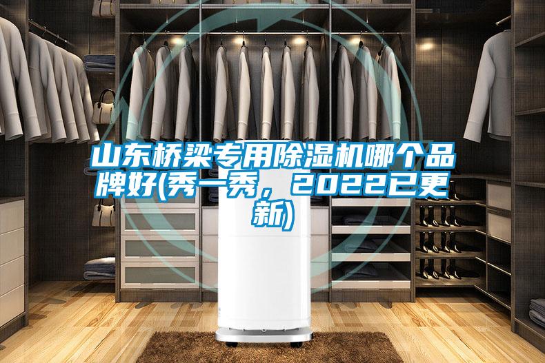 山東橋梁專(zhuān)用除濕機哪個(gè)品牌好(秀一秀，2022已更新)