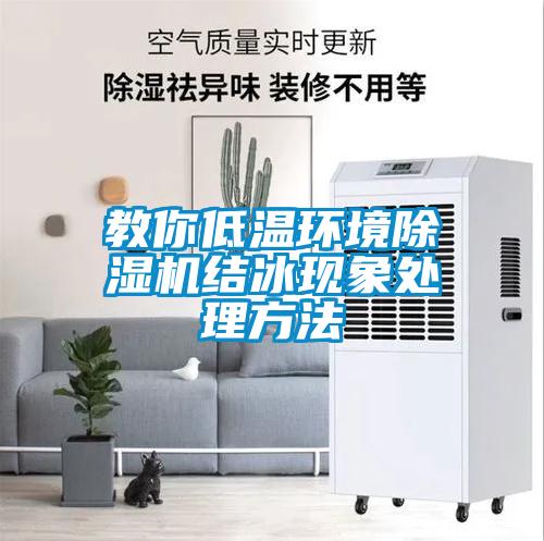 教你低溫環(huán)境除濕機結冰現象處理方法