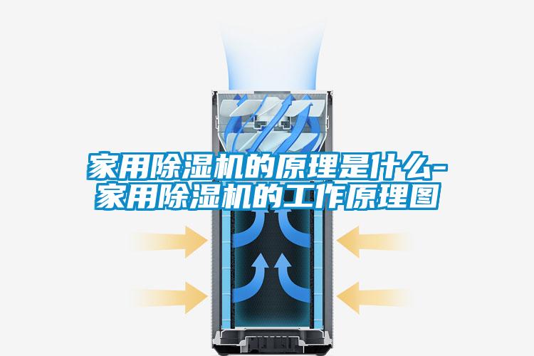 家用除濕機的原理是什么-家用除濕機的工作原理圖