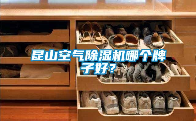 昆山空氣除濕機哪個(gè)牌子好？