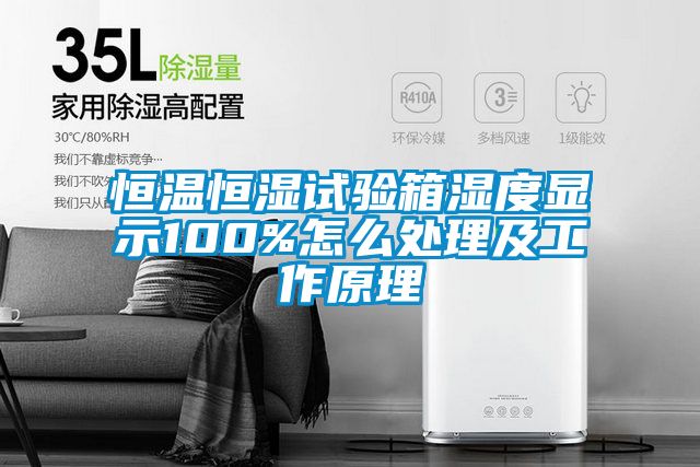 恒溫恒濕試驗箱濕度顯示100%怎么處理及工作原理