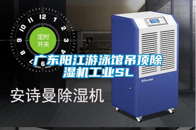 廣東陽(yáng)江游泳館吊頂除濕機工業(yè)SL
