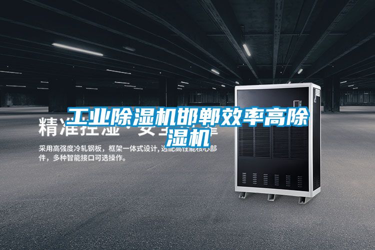 工業(yè)除濕機邯鄲效率高除濕機