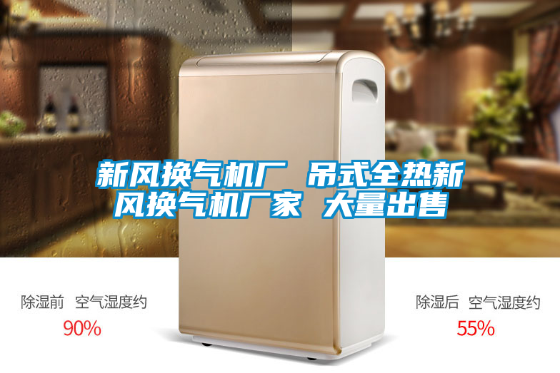 新風(fēng)換氣機廠(chǎng) 吊式全熱新風(fēng)換氣機廠(chǎng)家 大量出售
