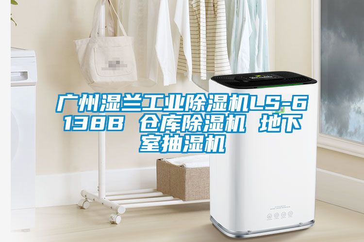 廣州濕蘭工業(yè)除濕機LS-6138B 倉庫除濕機 地下室抽濕機