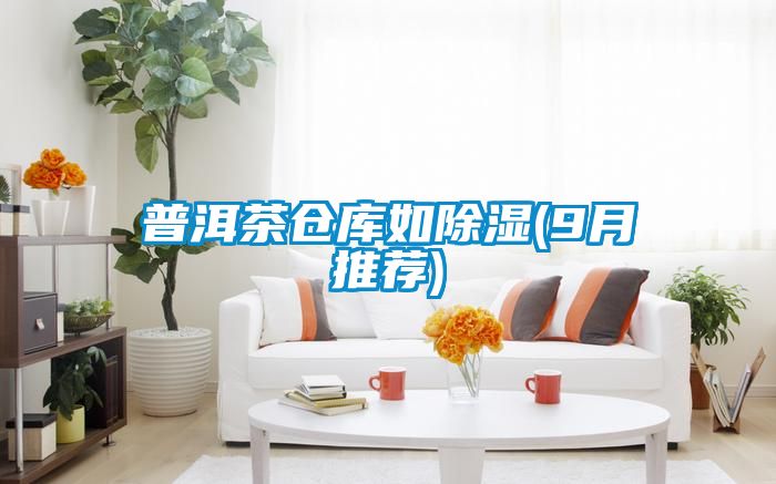 普洱茶倉庫如除濕(9月推薦)