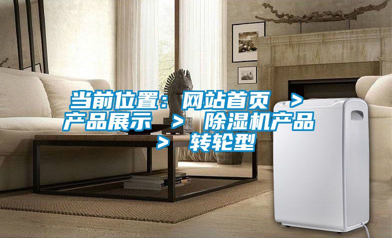 當前位置：網(wǎng)站首頁(yè) ＞ 產(chǎn)品展示 ＞ 除濕機產(chǎn)品  ＞ 轉輪型