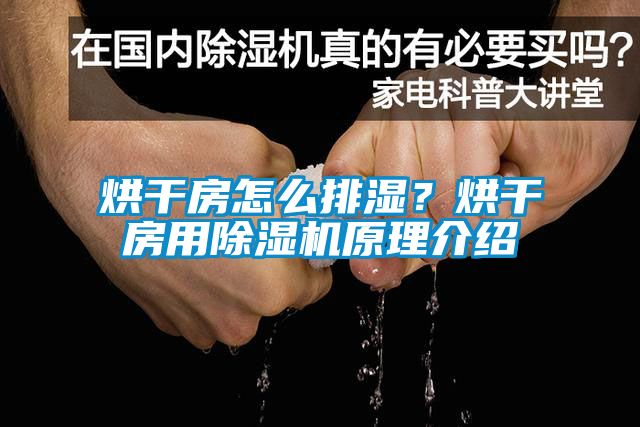 烘干房怎么排濕？烘干房用除濕機原理介紹