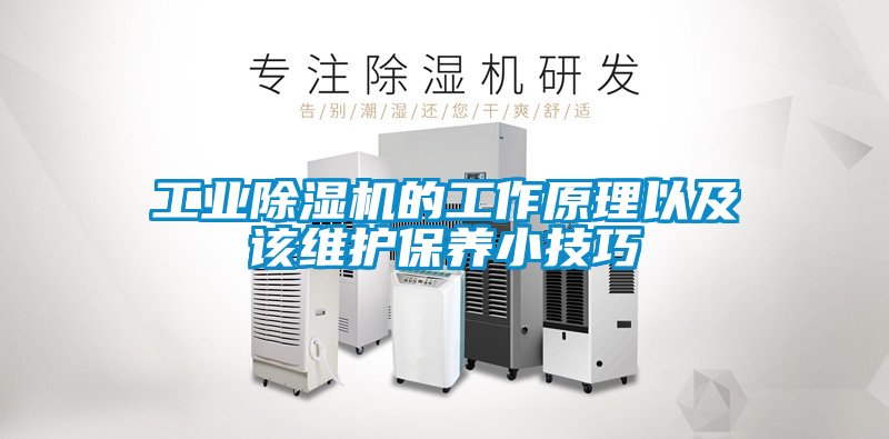 工業(yè)除濕機的工作原理以及該維護保養小技巧