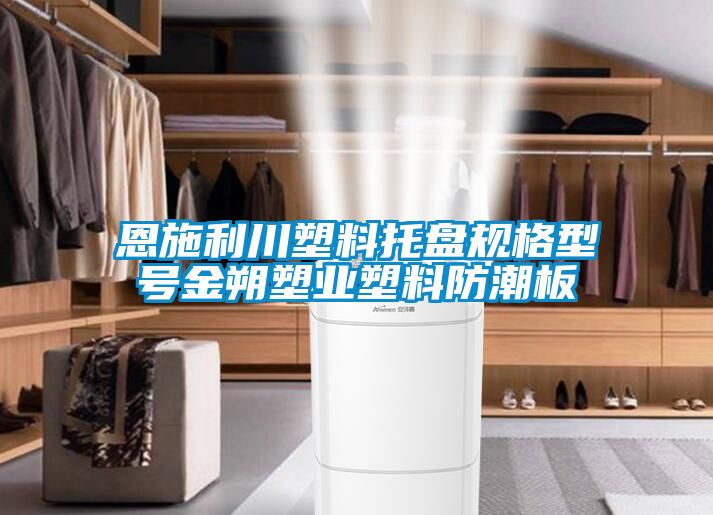 恩施利川塑料托盤(pán)規格型號金朔塑業(yè)塑料防潮板