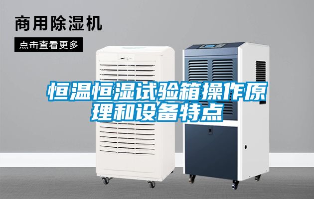 恒溫恒濕試驗箱操作原理和設備特點(diǎn)