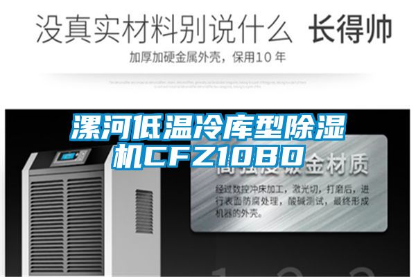 漯河低溫冷庫型除濕機CFZ10BD