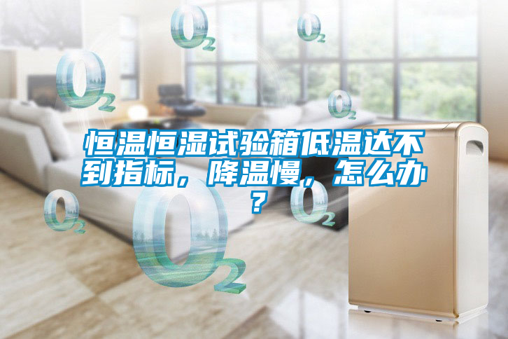 恒溫恒濕試驗箱低溫達不到指標，降溫慢，怎么辦？
