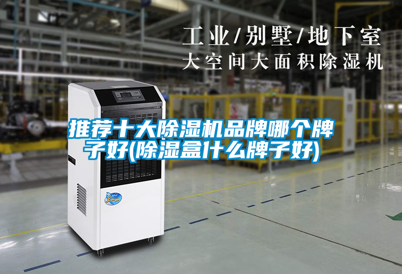 推薦十大除濕機品牌哪個(gè)牌子好(除濕盒什么牌子好)