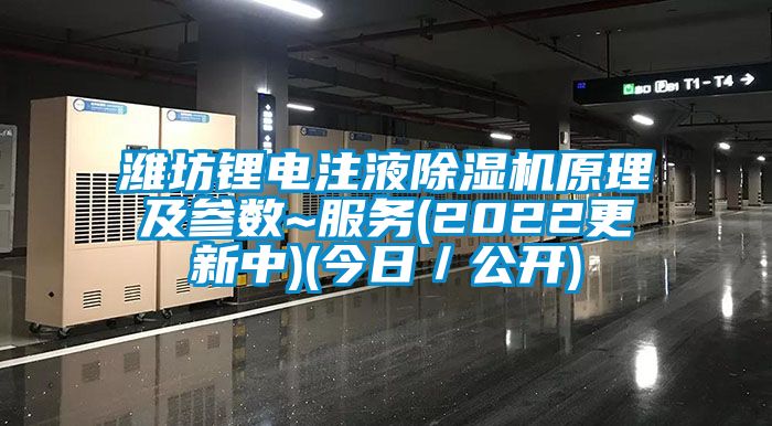 濰坊鋰電注液除濕機原理及參數~服務(wù)(2022更新中)(今日／公開(kāi))