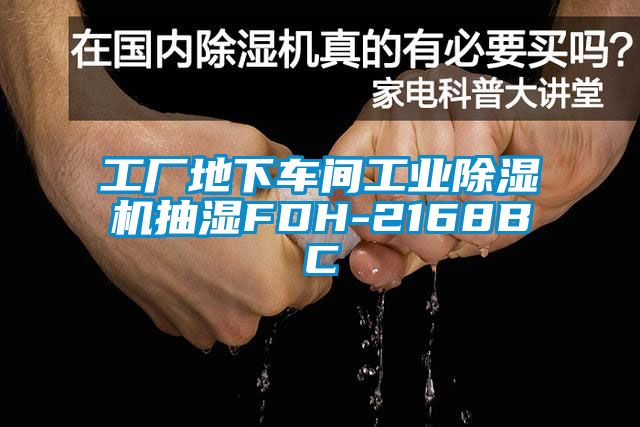 工廠(chǎng)地下車(chē)間工業(yè)除濕機抽濕FDH-2168BC