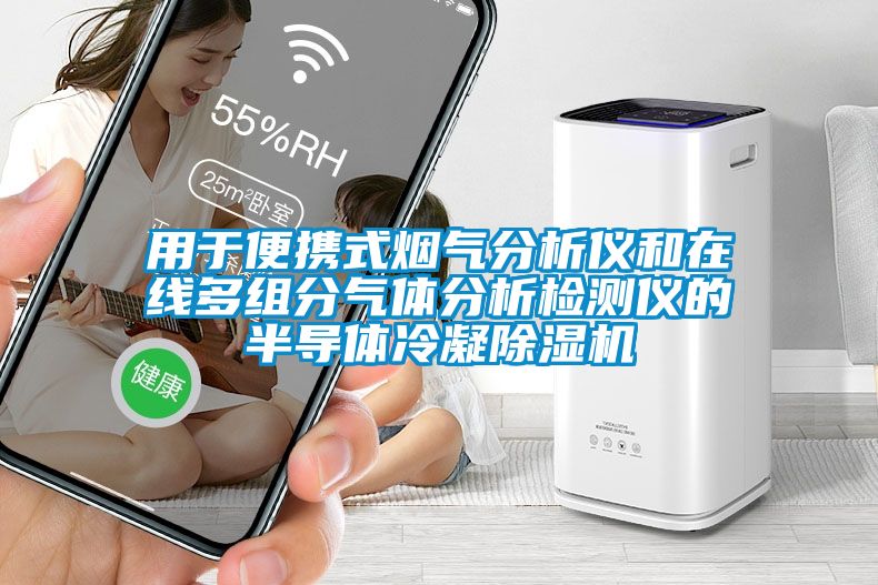 用于便攜式煙氣分析儀和在線(xiàn)多組分氣體分析檢測儀的半導體冷凝除濕機