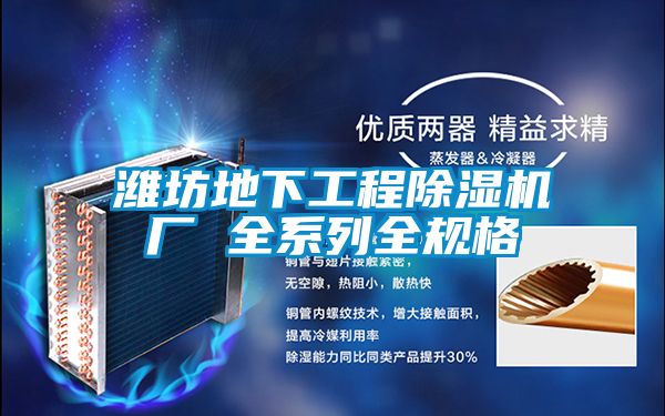 濰坊地下工程除濕機廠(chǎng) 全系列全規格