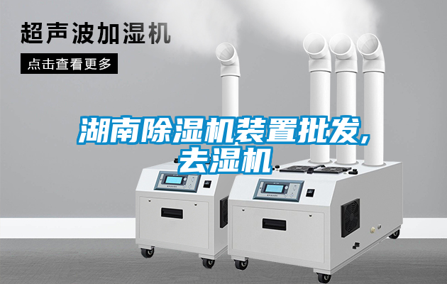 湖南除濕機裝置批發(fā),去濕機