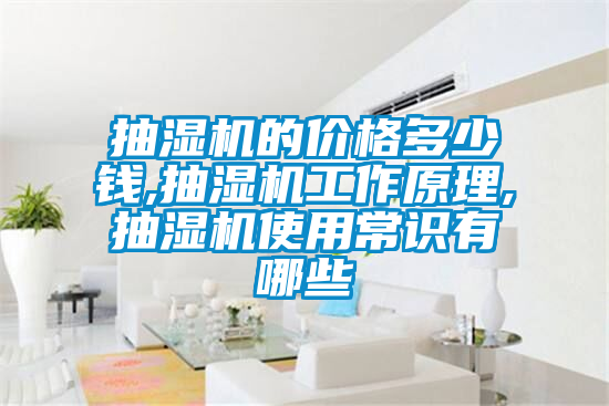 抽濕機的價(jià)格多少錢(qián),抽濕機工作原理,抽濕機使用常識有哪些