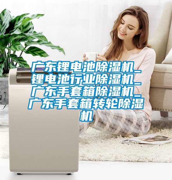 廣東鋰電池除濕機_鋰電池行業(yè)除濕機_廣東手套箱除濕機_廣東手套箱轉輪除濕機