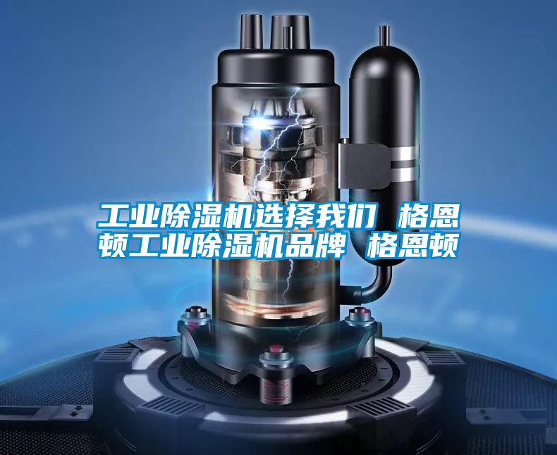 工業(yè)除濕機選擇我們 格恩頓工業(yè)除濕機品牌 格恩頓