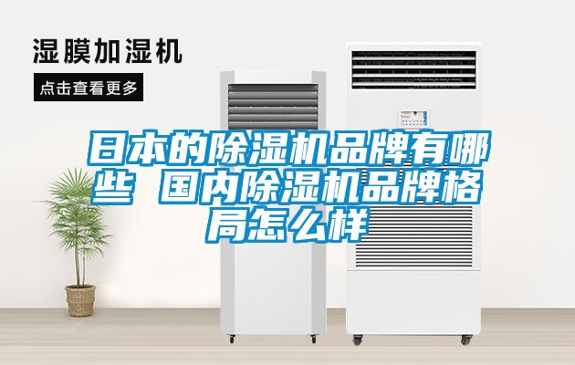 日本的除濕機品牌有哪些 國內除濕機品牌格局怎么樣