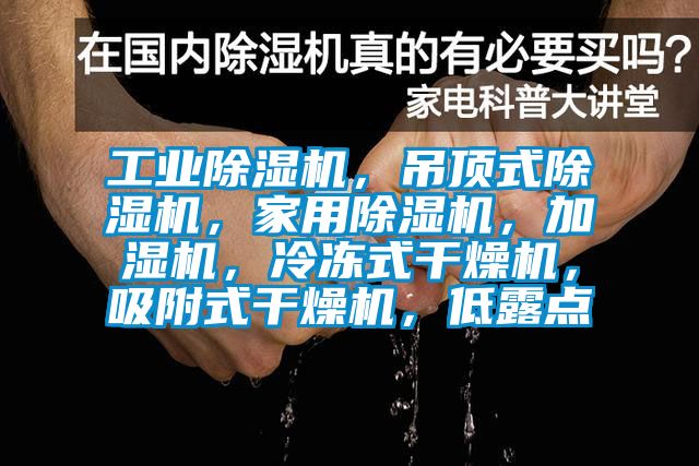 工業(yè)除濕機，吊頂式除濕機，家用除濕機，加濕機，冷凍式干燥機，吸附式干燥機，低露點(diǎn)