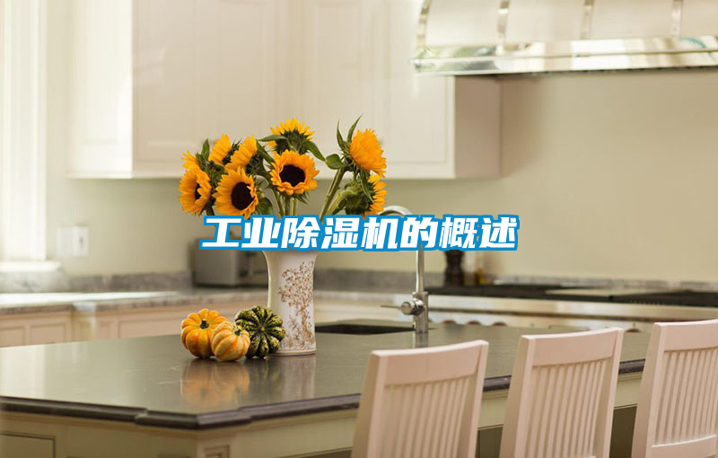 工業(yè)除濕機的概述