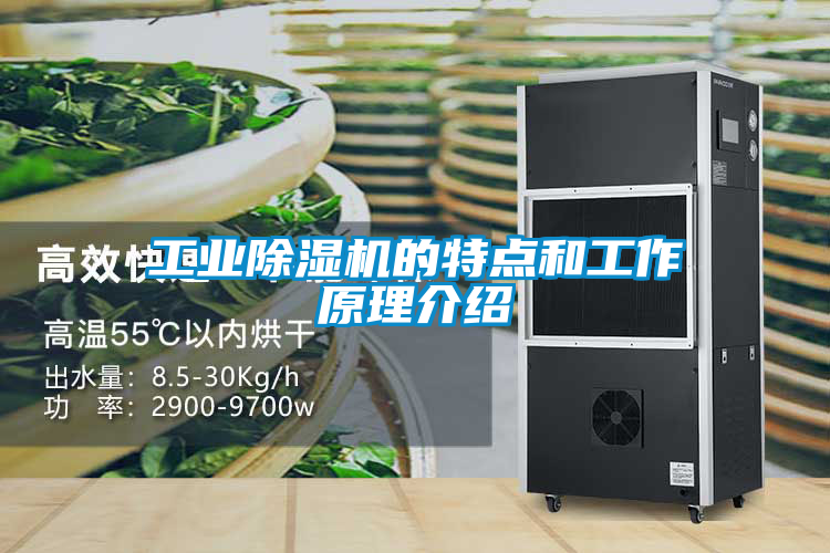 工業(yè)除濕機的特點(diǎn)和工作原理介紹