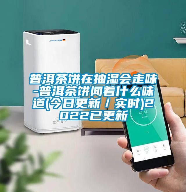 普洱茶餅在抽濕會(huì )走味-普洱茶餅聞著(zhù)什么味道(今日更新／實(shí)時(shí))2022已更新